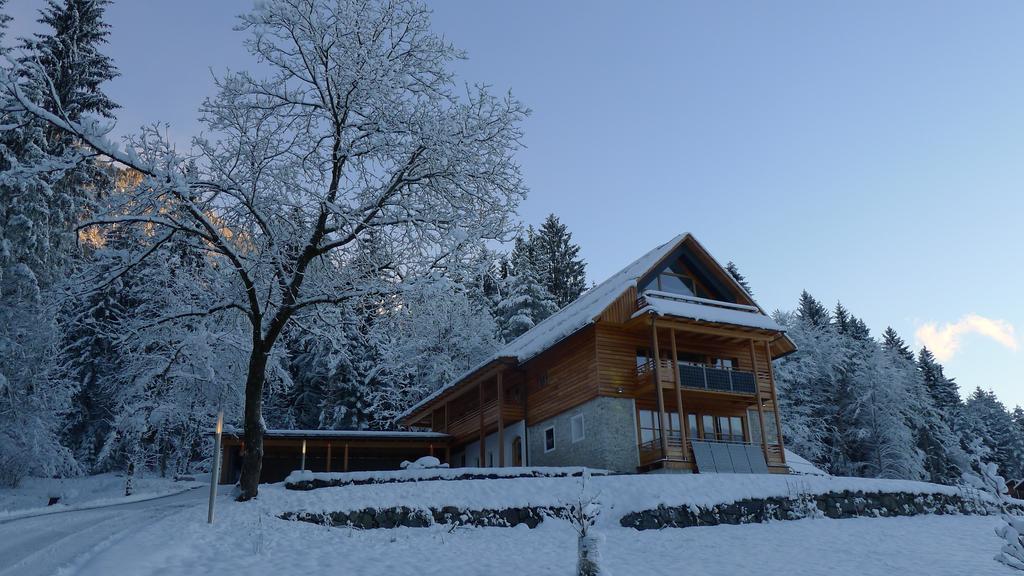 Der Weber - Haus Der Zukunft Διαμέρισμα Hermagor-Pressegger See Εξωτερικό φωτογραφία